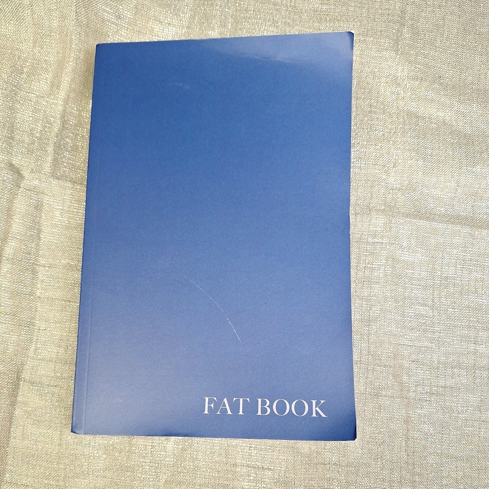 Fat Book: Explaining What the Early A.A.'S Did, Said, and Read, Bridging the Gap
